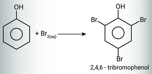 Chemical reaction for 2,4,6 - tribromophenol