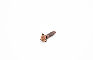 Dry spice cloves isolated on white background