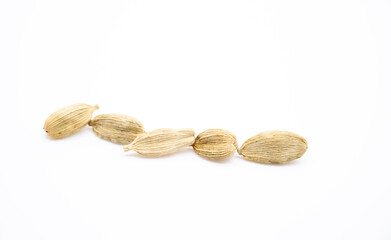 Top view close up photo image of group of cardamom isolate on white background,selective focus