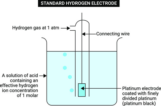 Standard Hydrogen Electrode