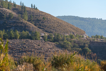 Fototapeta na wymiar mountainous landscape in the south of Spain