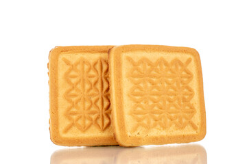 Two delicious sugar cookies, macro, isolated on a white background.