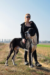 Blonde woman with an impressive large dog, of great dane breed  in the countryside. It is the...