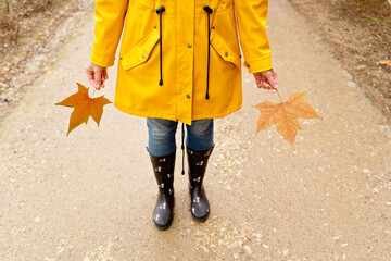 Top cropped view of unrecognizable woman holding maple tree leaves. Horizontal high angle view of woman with autumn leaves in yellow raincoat and wellingtons outdoors. Nature and people backgrounds.