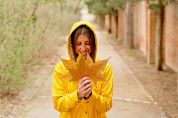 High angle view of happy woman with raincoat holding maple tree leaves. Horizontal mid waist view of woman gathering fallen leaves in yellow hoodie outdoors. People and nature backgrounds.