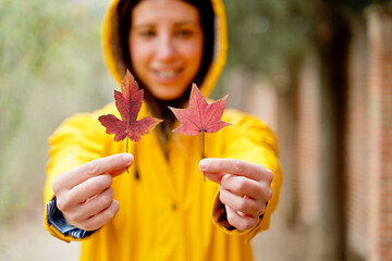 Selective focus of front close-up of unrecognizable woman holding sorted red maple tree leaves. Horizontal cropped view of woman with autumn leaves in yellow raincoat outdoors. Nature and people