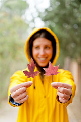 Selective focus of sorted red maple tree leaves with unrecognizable woman holding them. Vertical cropped view of woman with autumn leaves in yellow raincoat outdoors. Nature and people