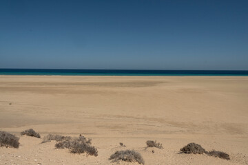 Playa de Sotavento de Jandia, Fuerteventura