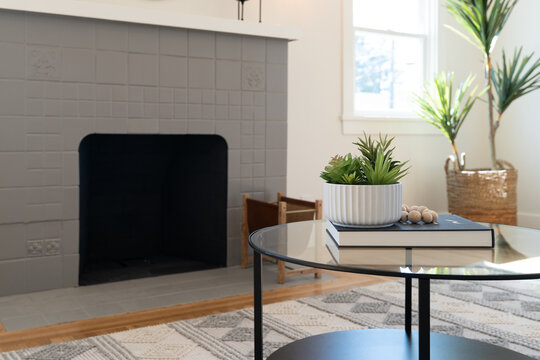 Fireplace with painted gray facing, glass coffee table and potted plants.