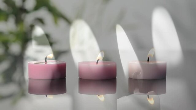 Animation of flames over plant and candles