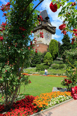 View from the botanical roses garden to the famous clock tower at the castle mountain in Graz, Austria