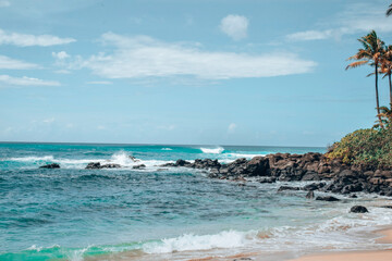 beach with palm trees