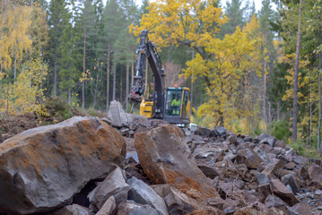 excavator at work in the forest