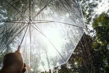 Young man holds the transparent umbrella with water drops splash..Theme of Summer rain in forest.
