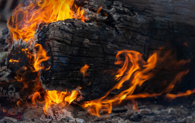 Burning charcoal and fire flames background.
