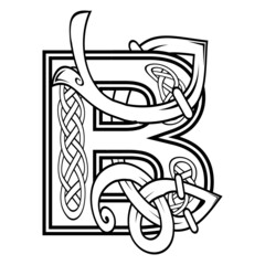 celtic letter B illustration in vector format