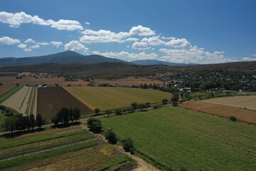 campo