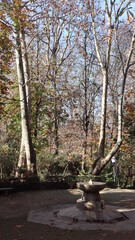 Paseando por Granada 