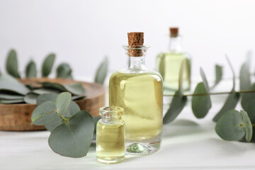 bottles of eucalyptus essential oil and plant branches on white marble table