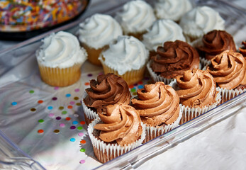 Chocolate Cupcakes with Vanilla Frosting