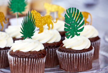 Chocolate Cupcakes with Vanilla Frosting