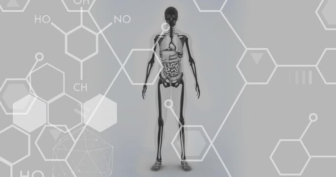 Animation of chemical formulas over human body model