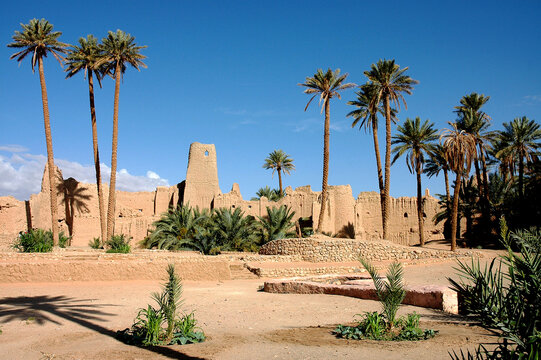 Palm grove of  Figuig in south-eastern Morocco