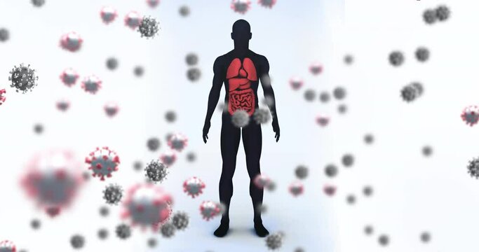Animation of falling viruses cells over human body model