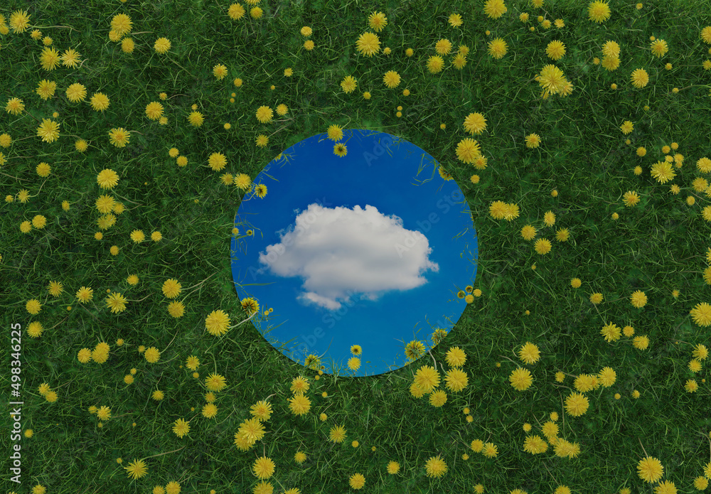 Poster 3d rendering of circular mirror reflecting single white cloud and surrounded by yellow dandelions. f