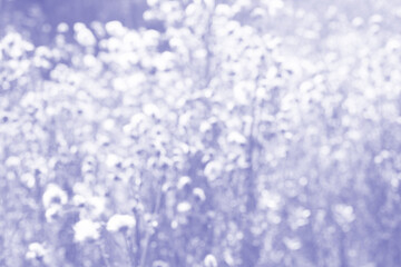 Multicolored textuerd background in color of 2022 year very pery with copy space. Abstract backdrop. Blurred bokeh