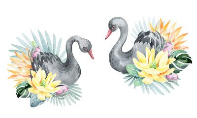 Watercolor illustration of australia animals. Koala on a eucalyptus tree with flowers and plants. children's design, postcards, appliqué, children's drawings.