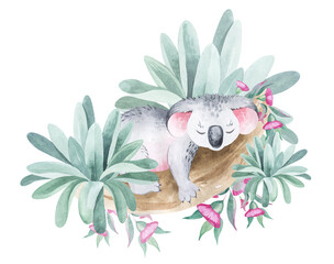 Watercolor illustration of australia animals. Koala on a eucalyptus tree with flowers and plants. children's design, postcards, appliqué, children's drawings. © Elena