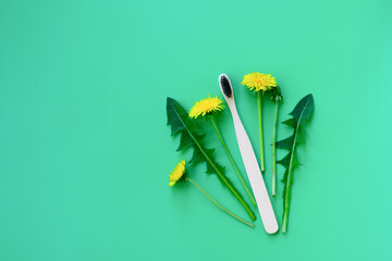Bunch of yellow dandelions and bamboo toothbrush in the corner of green background with copy space....