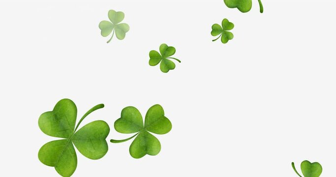 Animation of multiple clover leaves falling on white background