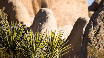 Southwest rock formations in the landscape