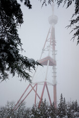 view of the TV tower, under the falling snow, through the trees