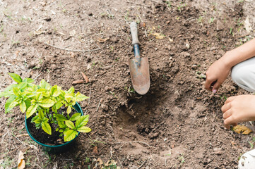 background of women in a plantation for environmental conservation and care of the planet earth