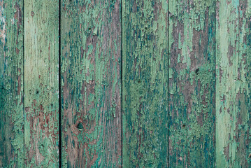 Obraz premium wood texture. the background is old. blue-green painted, turquoise dark vertical panels. rustic