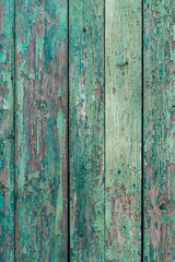 Obraz premium wood texture. the background is old. blue-green painted, turquoise dark vertical panels. rustic