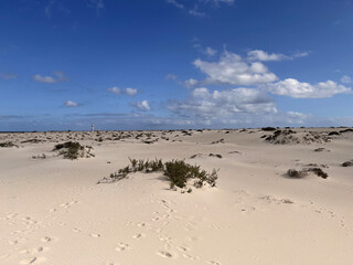 Fototapeta na wymiar Dunas de arena blanca en El Cotillo, Fuerteventura. Islas Canarias