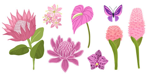 Tropical flowers collection, hand drawn vector art