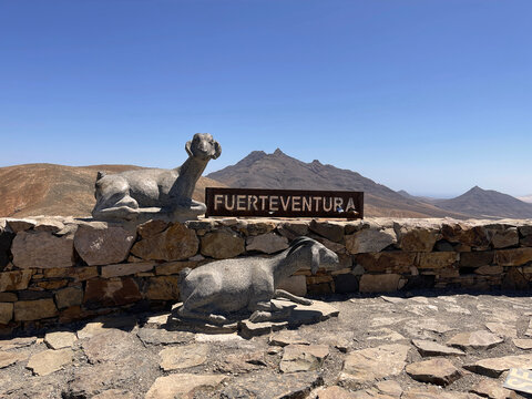 Monta&ntilde;as y cabras de Fuerteventura, Islas Canarias