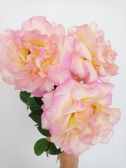 Bouquet of flowers on a white background. Pink flowers.