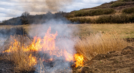 A huge flame of fire burns the nature around. Dry steppe grass burns with a large flame.