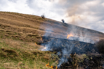 Fototapeta premium A huge flame of fire burns the nature around. Dry steppe grass burns with a large flame.