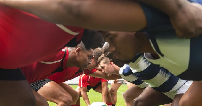 Animation of diverse male rugby players at stadium