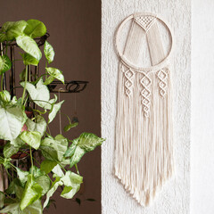 Handmade cotton macrame Dream catcher on white wall background. Traditional amulet for protecting sleep.  Macrame lace home decor on the wall with green leaves. Woman hobby.