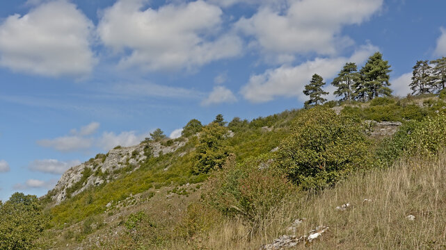 ricky hill flank with trees and shrubs in Ardennes, Wallonia, belgium