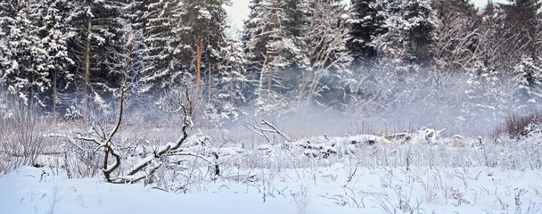 Snow layer covering drift wood branches and stones near river, blurred dark trees in background - cold winter landscape