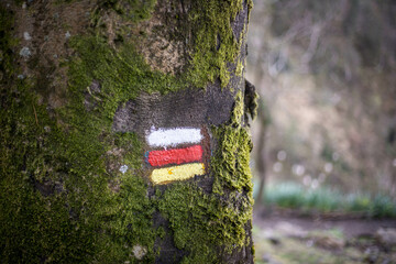Balisage, indication de randonnée sous la forme de bande de peinture sur un arbre, en pleine...